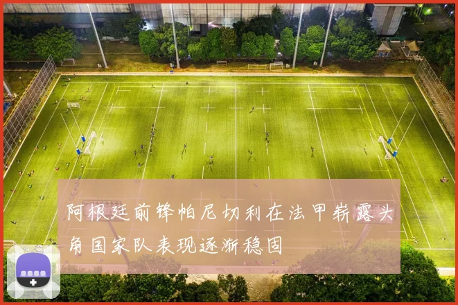 阿根廷前锋帕尼切利在法甲崭露头角国家队表现逐渐稳固