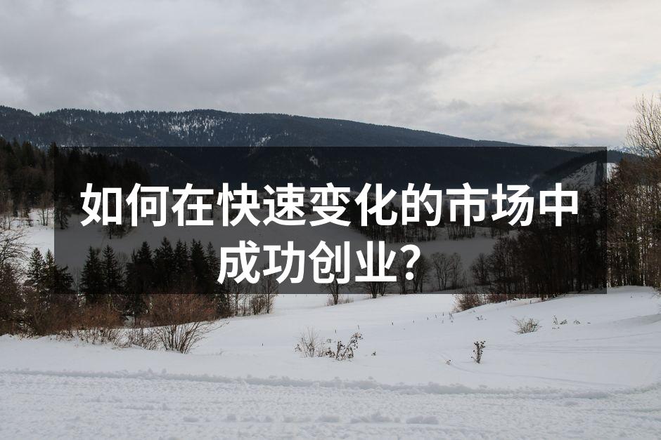 如何在快速变化的市场中成功创业？